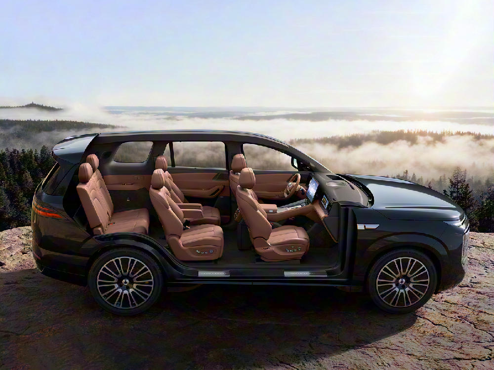 Two configurations/Higher configuration is better: Denza N8L Buying Guide